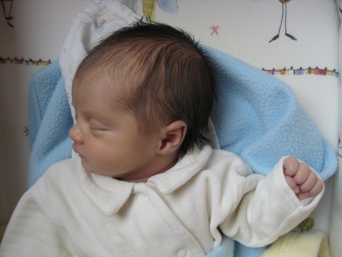 http://lestourtereaux.free.fr/blog/fevrier-2010/alizee-dort-1.jpg