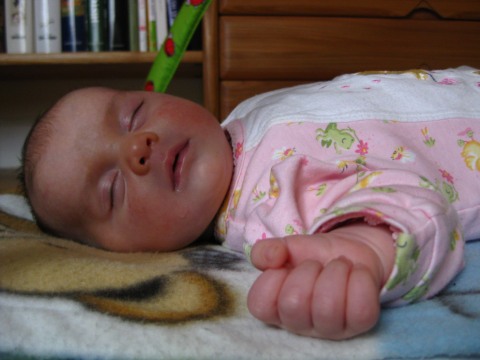 http://lestourtereaux.free.fr/blog/fevrier-2010/alizee-dort-4.jpg